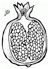 Antistress coloring page half pomegranate